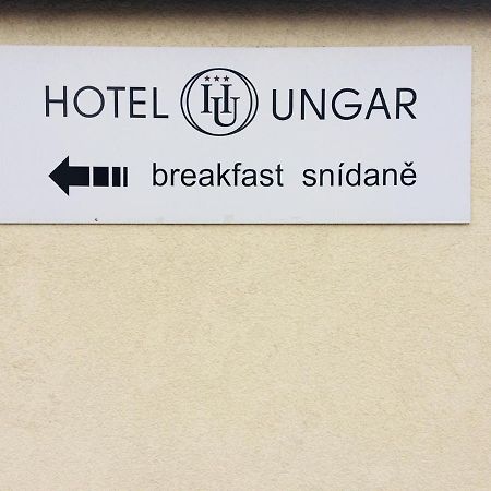Hotel Ungar سفيتافي المظهر الخارجي الصورة