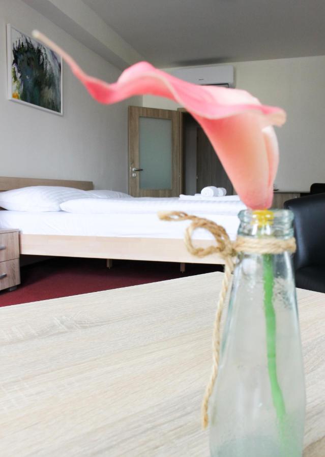 Hotel Ungar سفيتافي المظهر الخارجي الصورة